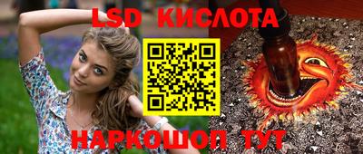 стафф Владивосток